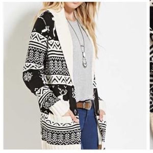 Forever 21 fair aisle sweater